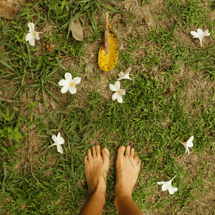 The Power of Grounding