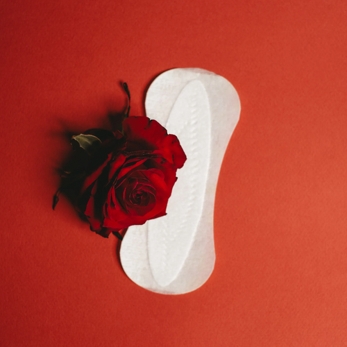 Heavy Menstrual Bleeding : A Common but Overlooked Concern