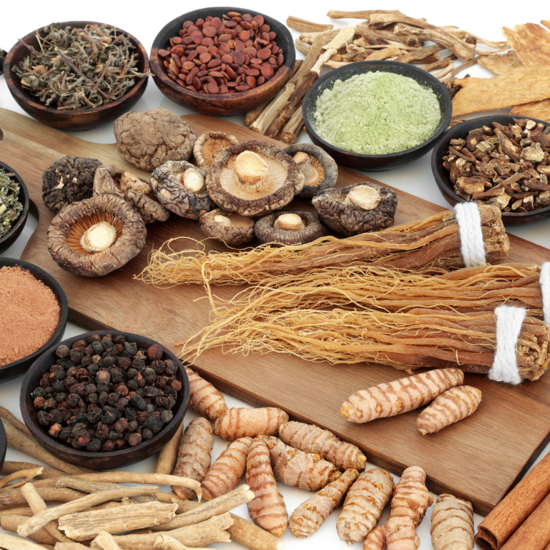 Adaptogens vs. Nootropics: What’s the Difference?