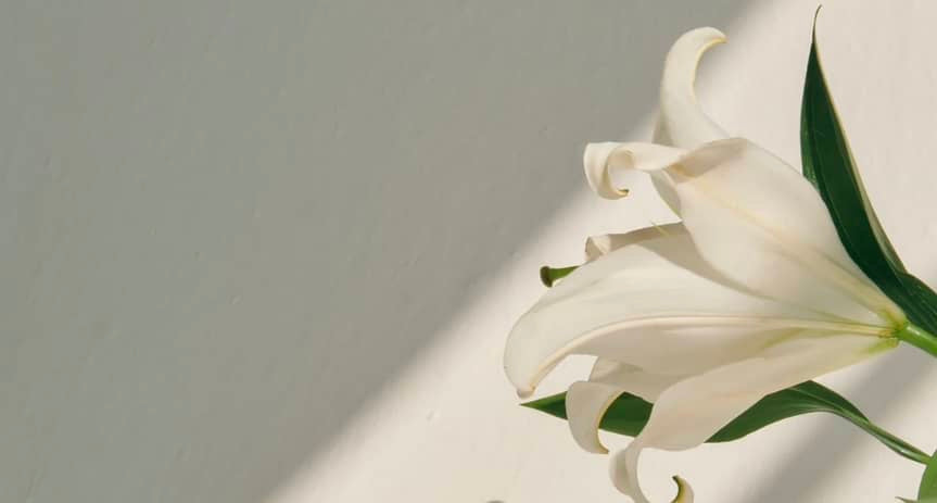 Beyond the Menopause: What to Expect in the Years That Follow