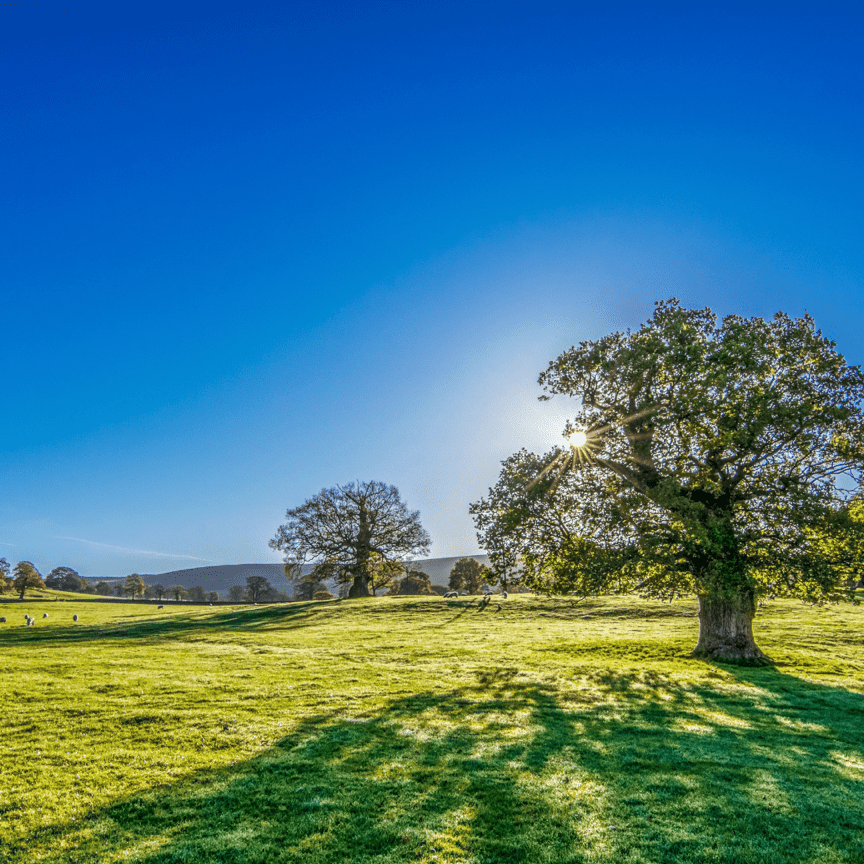 The Bright Side of Sunlight for Women's Health